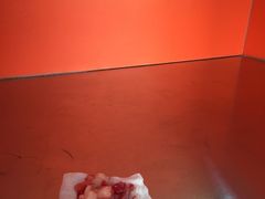 -瑞派福兴宠物医院犬猫全科·骨科·中西医结合(河东店)