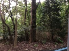 -盐城丹顶鹤湿地生态旅游区