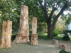 -国家植物园南园