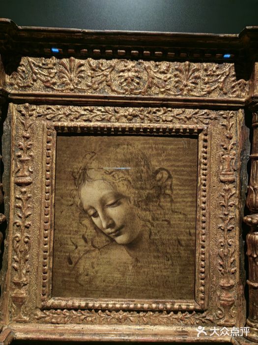 上海博物馆(人民广场馆)图片