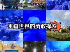 -上海海昌海洋公园