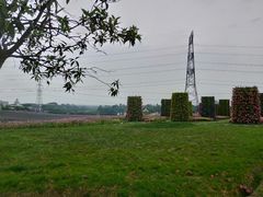 -紫颐香薰山谷景区