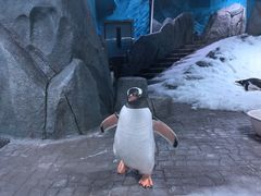 -暹罗海洋世界