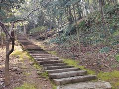 -上海佘山国家森林公园天马山园