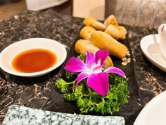-桃源春晓中餐厅 TaoYuan Restaurant