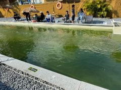 -DGE季风钓虾营地·团建·聚会