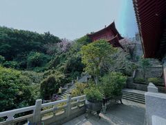 -南沙天后宫景区