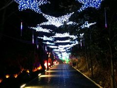 -青檀寺景区