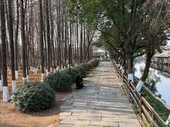 -乌镇东栅景区