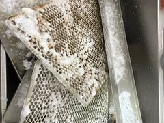 -铁像寺水街