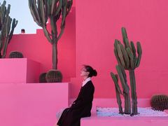 -漳州滨海火山岛自然生态风景区