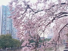 -红星桥(地铁站)