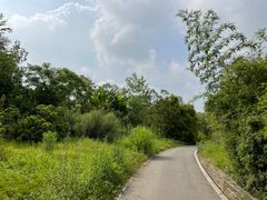 -白鹭湾湿地公园