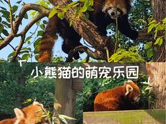 -无锡动物园·太湖欢乐园