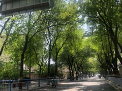 -火社火锅(平安大街店)