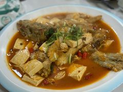 -煲来饱去冷水鱼