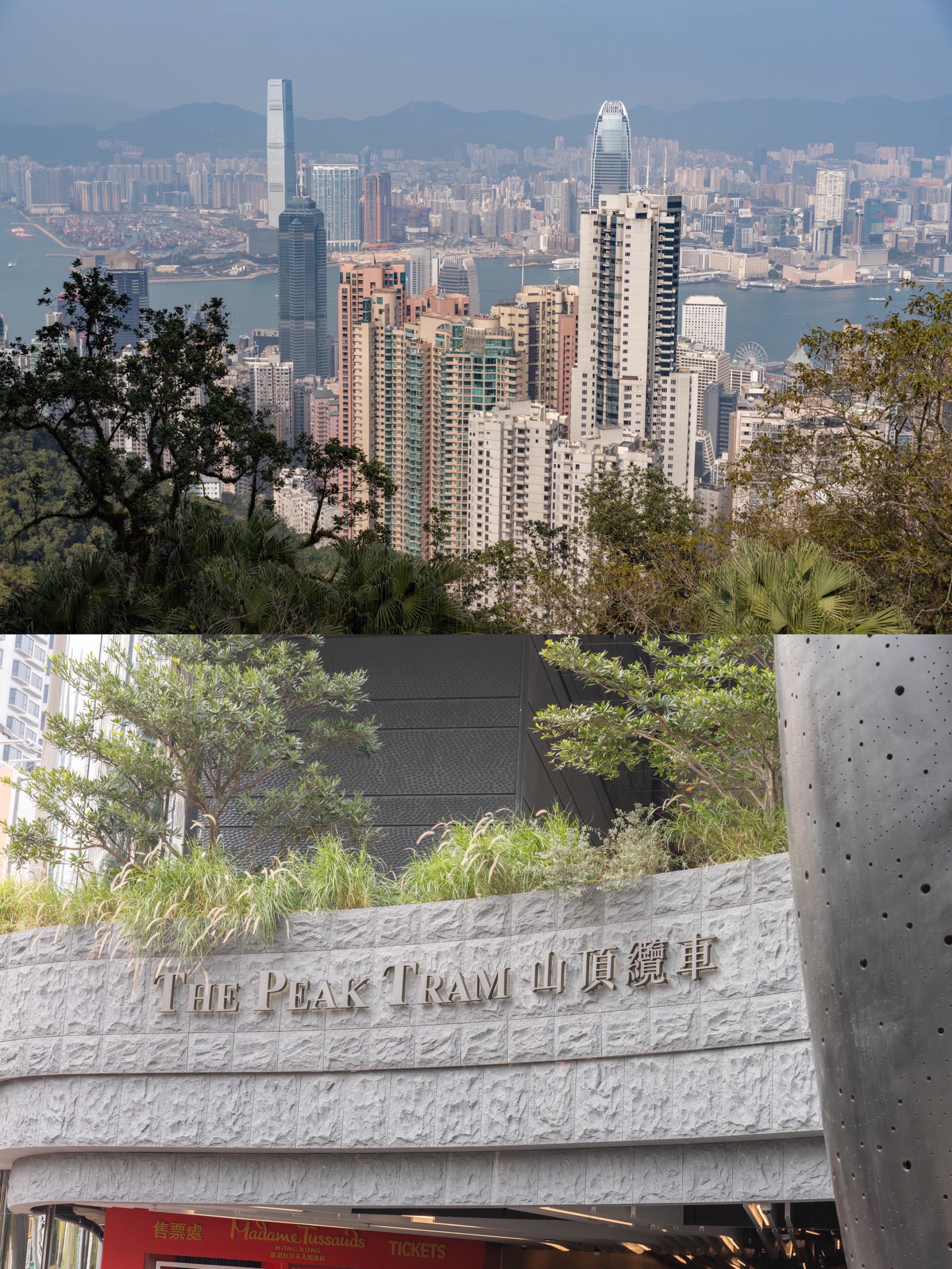 香港太平山+摩天台+杜莎夫人蜡像馆半日游图片