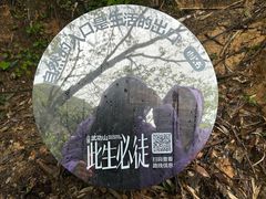 -萍乡武功山风景名胜区