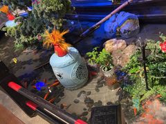 -红蜡烛-养生粥-津鲁菜(中山路店)