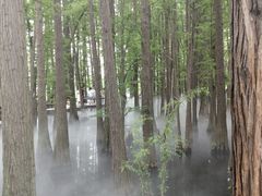 -东湖落雁景区