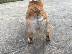 -食其家·牛丼咖喱(昆山巴黎春天店)