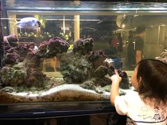 -无招牌海鲜餐厅(怡丰城店)