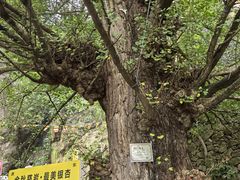 -大慈岩风景区