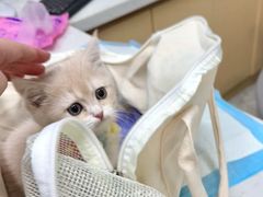 -爱侣宠医·鹦鹉专科·小型哺乳类·异宠专科(灵石路店)