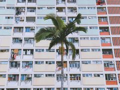 -彩虹村