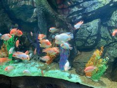 -泉城欧乐堡海洋极地世界