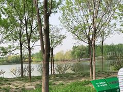 -东郊湿地公园