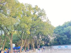 -上海佘山国家森林公园天马山园