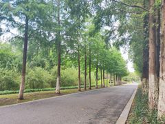 -昆山城市生态森林公园