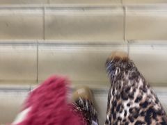 -三品王(桃源店)