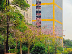 -玉树公园