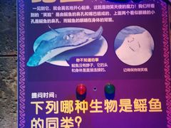 -波塞冬旅游度假区