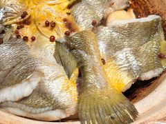 -1937青岛老味道·海肠捞饭·青岛菜(大鲍岛栈桥店)