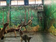 -西安秦岭野生动物园