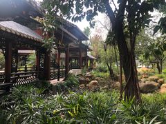 -顺峰山公园