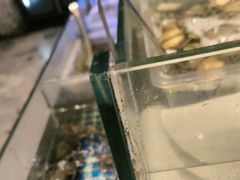 -梅园国际大酒店·自助餐厅(光明港店)