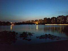 -南翔镇银翔湖公园