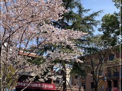 -华山263老字号品牌馆