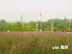 -深圳湾公园(南山区)