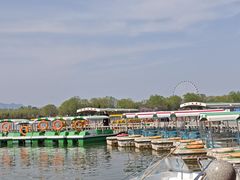-石家庄市植物园
