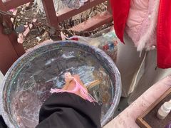 -祥源·阜阳生态乐园