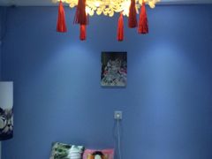 -喵的天空名猫咖啡馆·撸猫·猫舍·用品