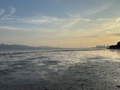 -深圳湾公园(南山区)