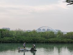 -五缘湾湿地公园