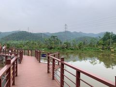 -美的鹭湖森林度假区