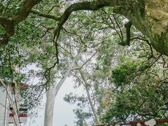 -集美鳌园景区